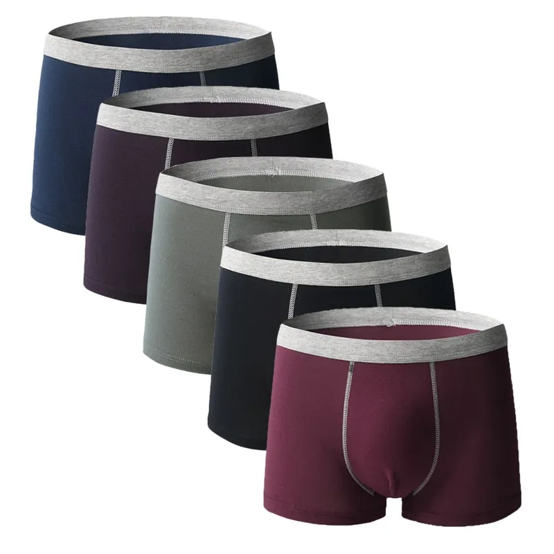 5pcs/lot Men Underwear Boxer Homme Boxershorts Men Underpants Boxer Shorts Men Panties Breathable Boxer Homme Cotton Comfort New