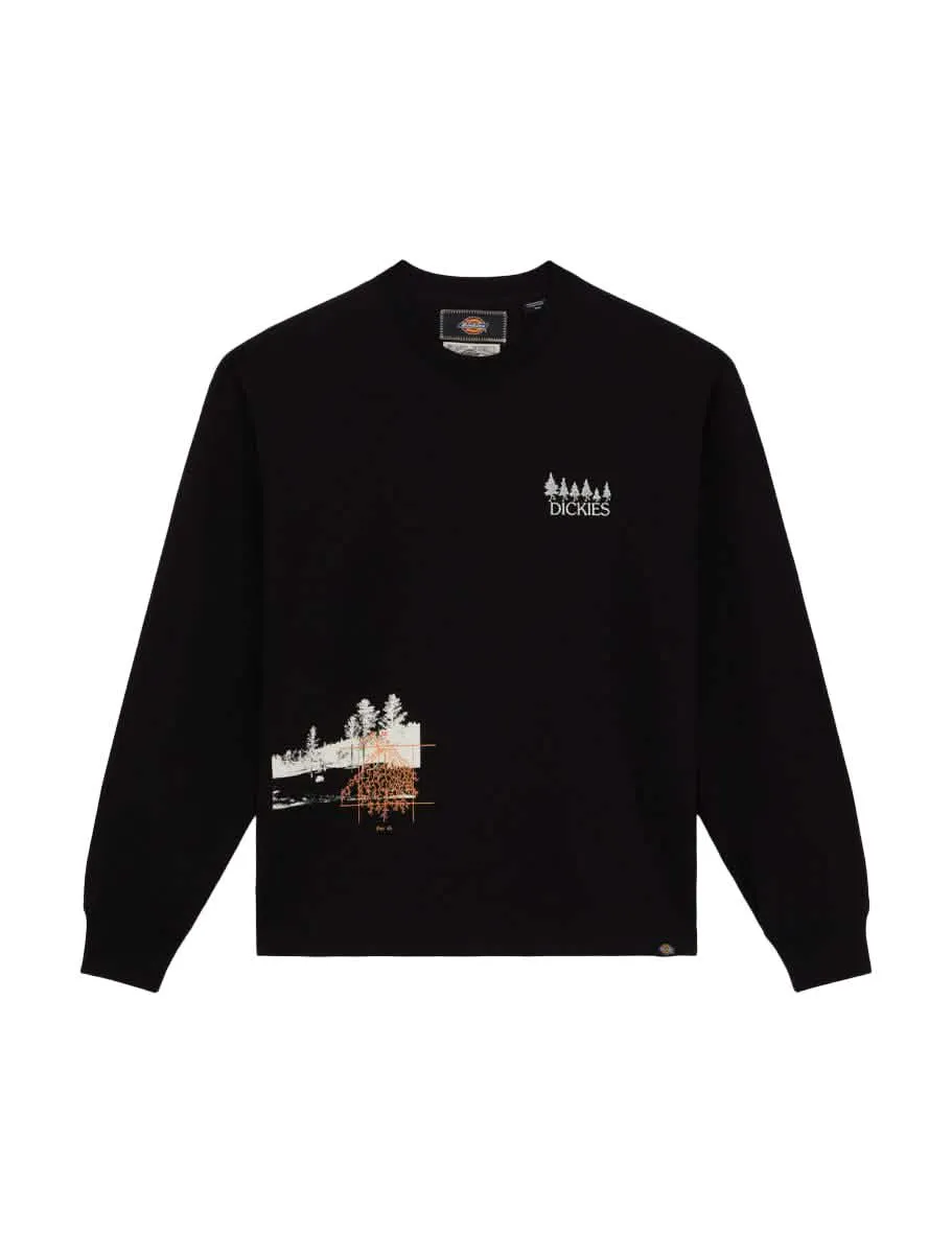 Dickies Kenbridge shirt Zwart