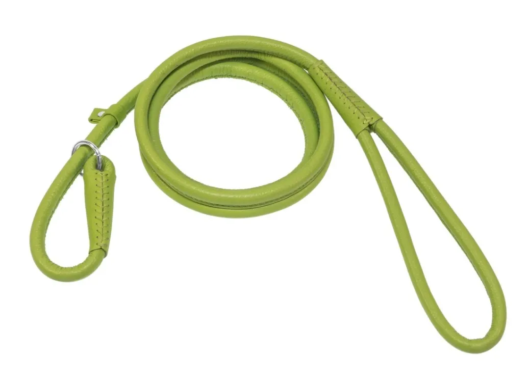 Dogline Soft Leather Rolled 6' Slip Leashes