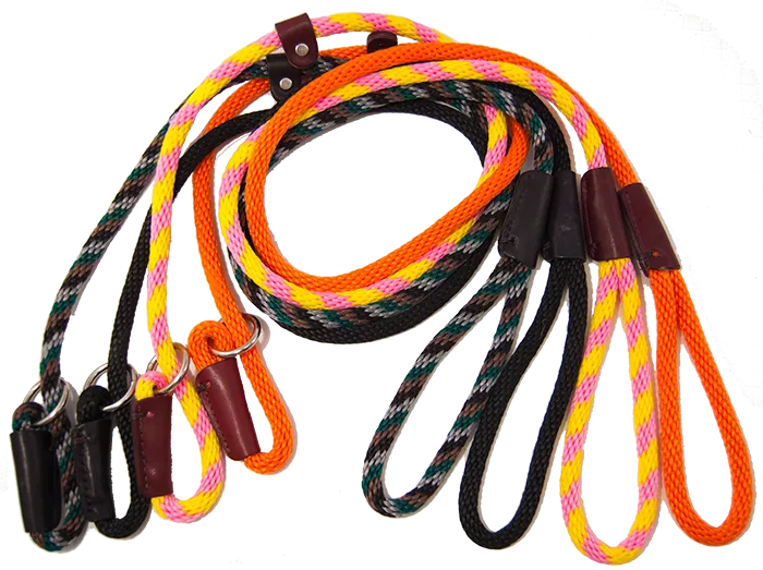 LCS Rope Slip Lead