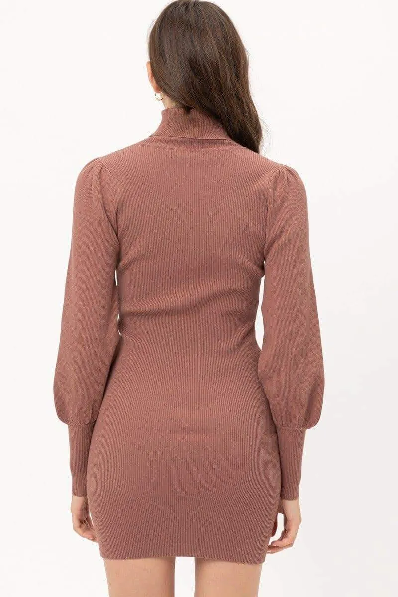 Turtle Neck Sweater Dress